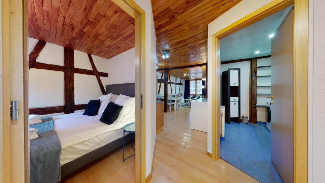 Appartamento Le Petit Thierenbach Colmar Esterno foto